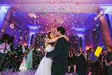 Buffalo Wedding DJ Service, Williamsville