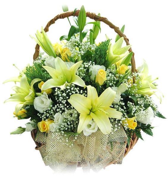 Pricelists of Mumbai Flowershop18.in Dilshad Colony Dilshad garden - Photo 1 of 1