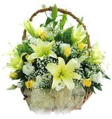 Menus & Prices, Mumbai Flowershop18.in, Delhi