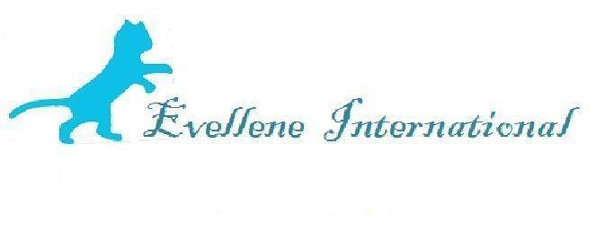  Profile Photos of Evellene International 1, Laxmi Niwas, Mahim - Photo 1 of 9
