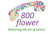 800 FLOWER LLC, Dubai
