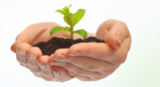 Eunike Living Pte. Ltd., Singapore