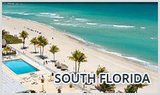 Menus & Prices, Movers Miami, Miami Beach