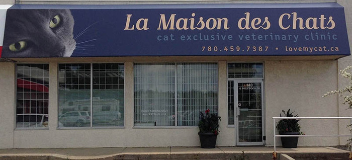 Photo showing the outside of our vet clinic as taken from the parkikng lot. Profile Photos of La Maison des Chats 12 Inglewood Dr, #140 - Photo 9 of 10 Photo showing the outside of our vet clinic as taken from the parkikng lot. Profile Photos of La Maison des Chats 12 Inglewood Dr, #140 - Photo 9 of 10