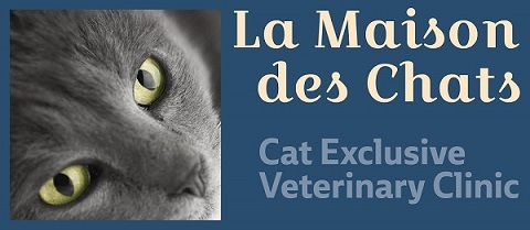 The La Maison des Chats vet clinic for cats business logo. A cat exclusive veterinary hospital in St Albert. Profile Photos of La Maison des Chats 12 Inglewood Dr, #140 - Photo 1 of 10 The La Maison des Chats vet clinic for cats business logo. A cat exclusive veterinary hospital in St Albert. Profile Photos of La Maison des Chats 12 Inglewood Dr, #140 - Photo 1 of 10