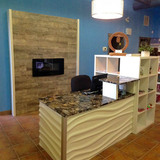 The reception are at our cat clinic. La Maison des Chats 12 Inglewood Dr, #140 