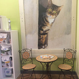 Sit and read a magazine with coffee while your cat is in it's appointment or chat with our veterinarian. La Maison des Chats 12 Inglewood Dr, #140 