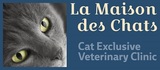 The La Maison des Chats vet clinic for cats business logo.  A cat exclusive veterinary hospital in St Albert. La Maison des Chats 12 Inglewood Dr, #140 