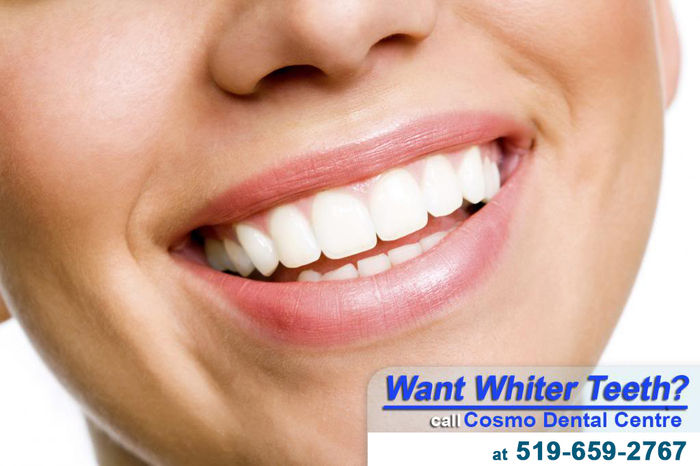  Profile Photos of Cosmo Dental Centre 373 Clarke Road - Photo 11 of 11