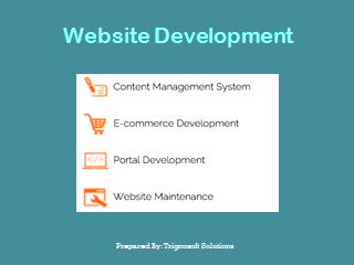Professional Website Design & Development - Trignosoft Solutions.mp4