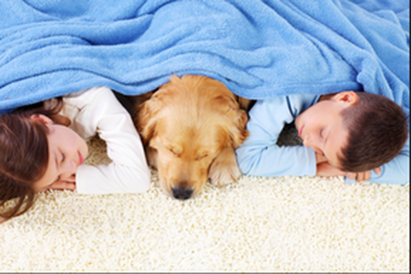  Profile Photos of Terrific Carpet Cleaning Suite 65A 4040 Blackfoot Trail S.E - Photo 1 of 3