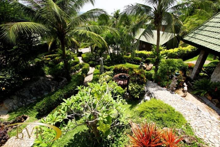  BVR - PHUKET Garden of Boomerang Village Resort Phuket Patak Soi 10, - Photo 16 of 33