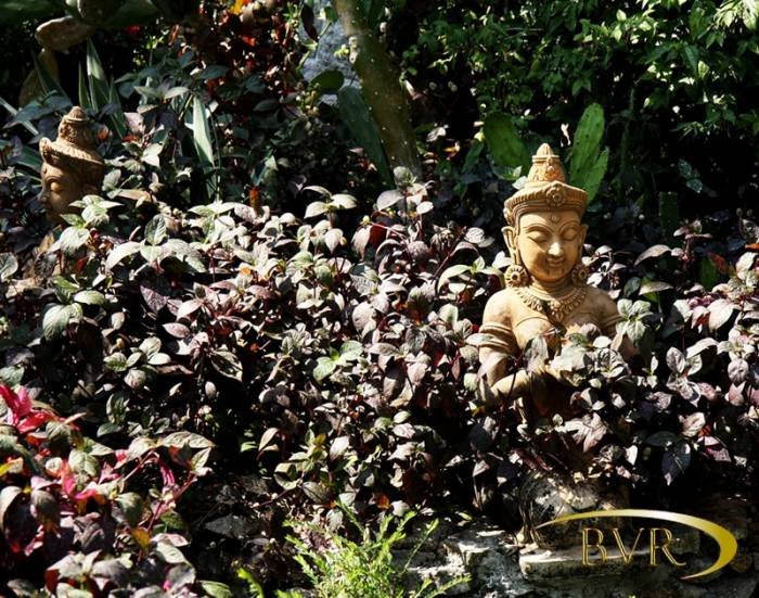  BVR - PHUKET Garden Flowers of Boomerang Village Resort Phuket Patak Soi 10, - Photo 23 of 67