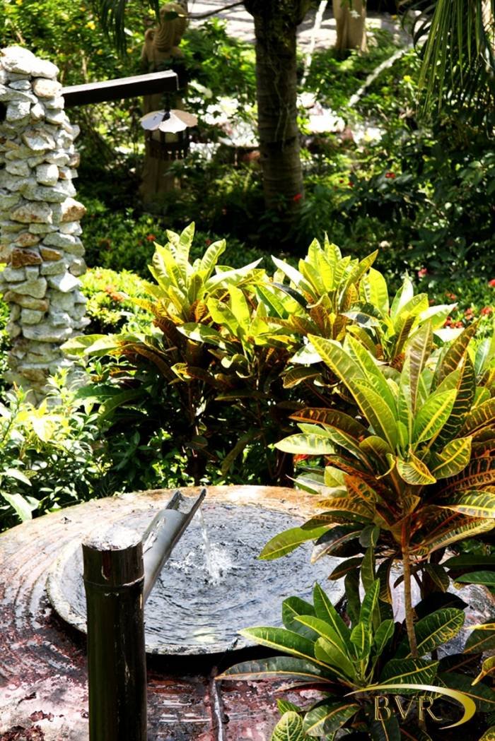  BVR - PHUKET Garden Flowers of Boomerang Village Resort Phuket Patak Soi 10, - Photo 22 of 67