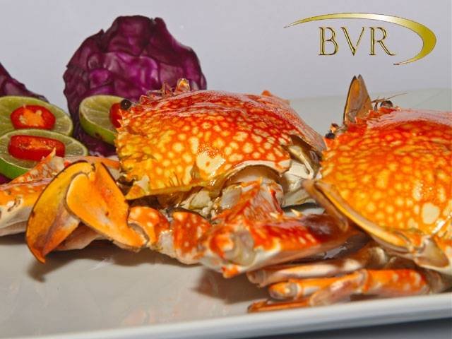  Some of our dishes of CAFE DEL SOL (Italian and Thai RESTAURANT) Patak Soi 10, - Photo 60 of 71