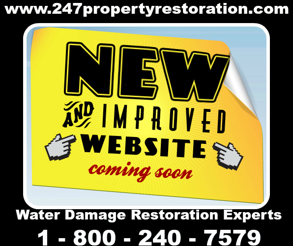 24/7 Water Damage Restoration New Website Coming Soon Profile Photos of 24/7 Property Restoration 37 N. Orange Avenue, Suite 500 - Photo 12 of 15 24/7 Water Damage Restoration New Website Coming Soon Profile Photos of 24/7 Property Restoration 37 N. Orange Avenue, Suite 500 - Photo 12 of 15
