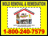 Mold Removal  and Remediation experts in Orlando, 24/7 Property Restoration, 30 Min  Emergency response time! 24/7 Property Restoration 37 N. Orange Avenue, Suite 500 