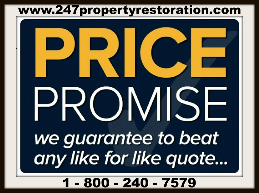  Pricelists of 24/7 Property Restoration 37 N. Orange Avenue, Suite 500 - Photo 1 of 2