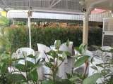  White Space Phuket Soi Sukee 