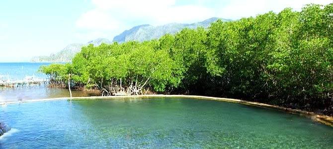 Profile Photos of Amphibi-Ko Resort and Dive Center Barangay Poblacion 5, National Highway - Photo 7 of 8
