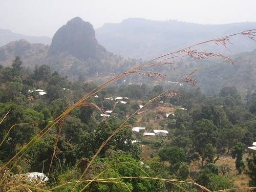  RUDEC Photos of Rural Development Centre Association(RUDEC) Cameroon  - Photo 5 of 26