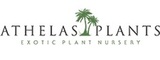 Athelas Plants, Ninfield,