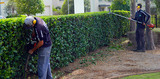 Menus & Prices, Cape Town Landscaping, Cape Town