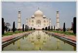  Tour My India C - 81 C, Ground floor, Sector 8 