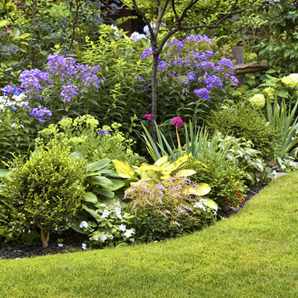  Profile Photos of Garden Care Services 62b College Road, - Photo 4 of 5