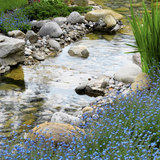  Garden Care Services 62b College Road, 