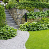 Garden Care Services, Bromley