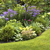 Garden Care Services, Bromley