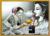  My Tour India 403-404, Thapar House, N-161,Gulmohar Enclave, Community Center 