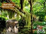 Golden Triangle Holidays India, New Delhi