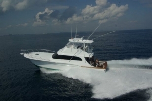  Profile Photos of Ultimate Fishing Charters 500 Brickell Ave #3100 - Photo 3 of 8