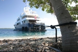  Profile Photos of Ultimate Fishing Charters 500 Brickell Ave #3100 - Photo 7 of 8