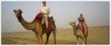 INB Vacations | India Tour Operators, New Delhi-110049, India