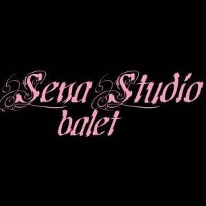  Profile Photos of Sena Studio Balet Logofatul Tautu nr 68 A - Photo 1 of 14