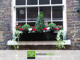 Window Boxes, Window Boxes Company, London