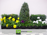 Window Boxes Company, Window Boxes Company, London