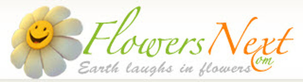  Profile Photos of FlowersNext Nashwan building 1st Floor Bur Dubai - Photo 1 of 6