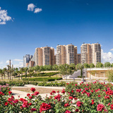  Mirabito Properties 1005 Vine Ave 