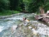  S.C. Mati Tours & Camp S.A. str, Fata Raului , nr.  55-57 
