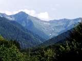  S.C. Mati Tours & Camp S.A. str, Fata Raului , nr.  55-57 