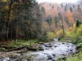 S.C. Mati Tours & Camp S.A., Porumbacu de Sus