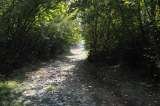 S.C. Mati Tours & Camp S.A., Porumbacu de Sus