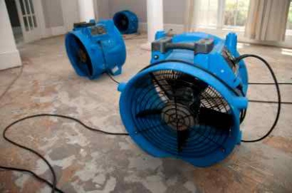  Profile Photos of Water Damage Specialists 1314 E Las Olas Blvd #1139 - Photo 1 of 1