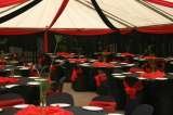  Draping & Decor Specialists 3a Van Tonder Avenue 