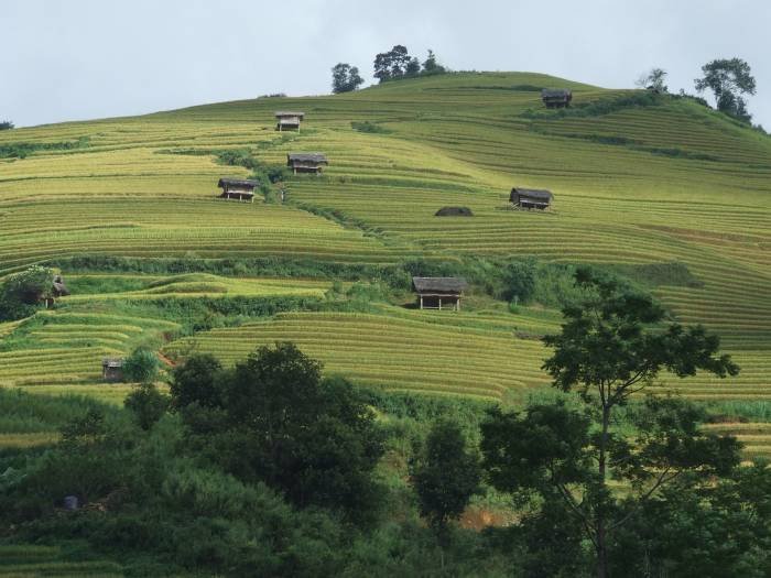  Profile Photos of Voyage Vietnam - Mototours Asia No.1 Luong Ngoc Quyen - Photo 7 of 12