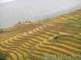 Voyage Vietnam - Mototours Asia, Hanoi